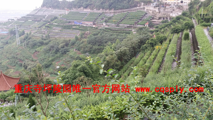 重庆江北区寺坪陵园园区全景展示